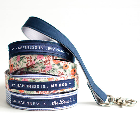 Dog Beach Striped Leash